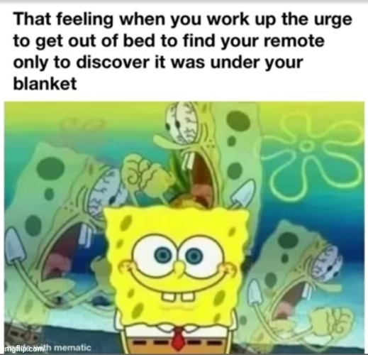 Meme #1,704 | image tagged in memes,repost,remote,relatable,annoying,blanket | made w/ Imgflip meme maker