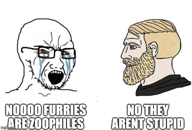 Soyboy Vs Yes Chad | NO THEY ARENT STUPID; NOOOO FURRIES ARE ZOOPHILES | image tagged in soyboy vs yes chad | made w/ Imgflip meme maker