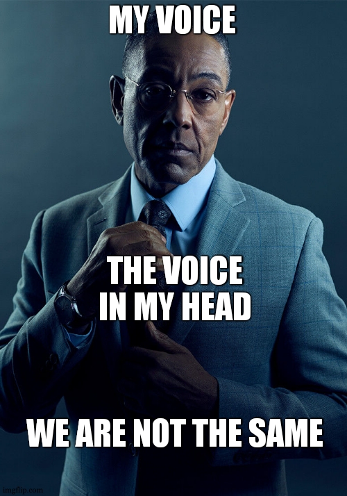 Gus Fring we are not the same | MY VOICE THE VOICE IN MY HEAD WE ARE NOT THE SAME | image tagged in gus fring we are not the same | made w/ Imgflip meme maker