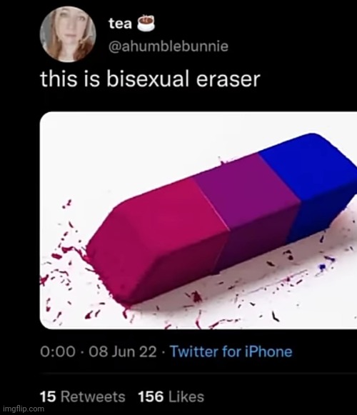 Bisexual eraser | THAT'S IT | image tagged in shitpost,lgbtq,oh wow are you actually reading these tags | made w/ Imgflip meme maker
