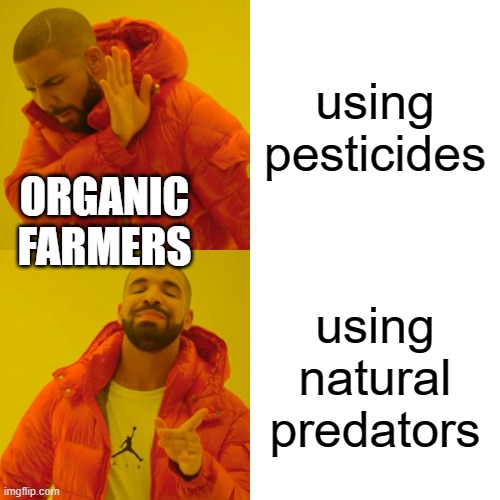 pesticide debate | using pesticides; ORGANIC
FARMERS; using natural predators | image tagged in memes,drake hotline bling | made w/ Imgflip meme maker