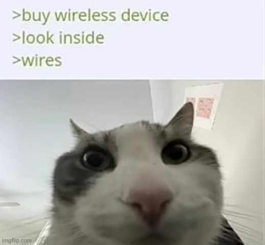 Why is it called wireless when it has wires | image tagged in shitpost,cat,oh wow are you actually reading these tags | made w/ Imgflip meme maker