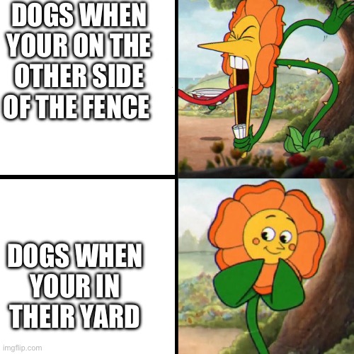 It’s true though | DOGS WHEN YOUR ON THE OTHER SIDE OF THE FENCE; DOGS WHEN YOUR IN THEIR YARD | image tagged in cuphead flower | made w/ Imgflip meme maker