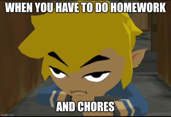 I hate both | WHEN YOU HAVE TO DO HOMEWORK; AND CHORES | image tagged in frustrated link | made w/ Imgflip meme maker