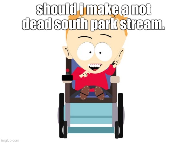 ???? | should i make a not dead south park stream. | image tagged in timmeh | made w/ Imgflip meme maker