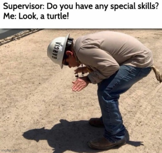 image tagged in memes | made w/ Imgflip meme maker