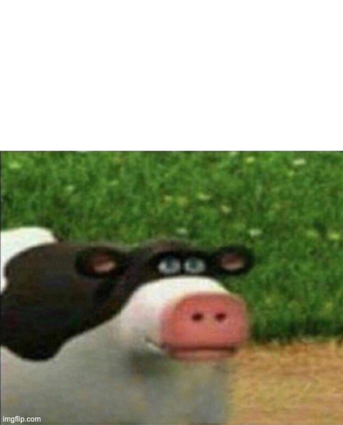 Perhaps cow | image tagged in perhaps cow | made w/ Imgflip meme maker