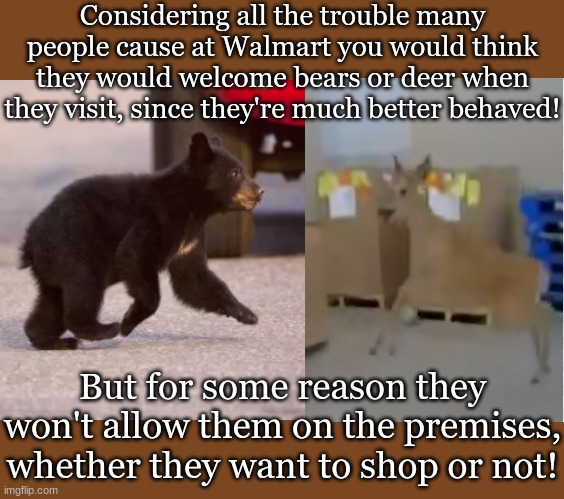 Considering all the trouble many people cause at Walmart you would think they would welcome bears or deer when they visit, since they're much better behaved! But for some reason they won't allow them on the premises, whether they want to shop or not! | image tagged in memes,one does not simply | made w/ Imgflip meme maker