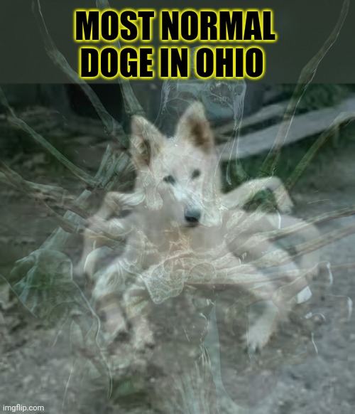 MOST NORMAL DOGE IN OHIO | made w/ Imgflip meme maker