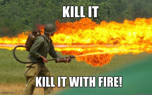 kill it with fire | image tagged in kill it with fire | made w/ Imgflip meme maker