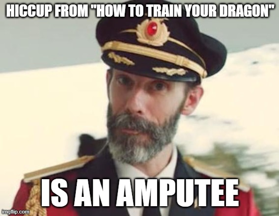 No ableism intended. | HICCUP FROM "HOW TO TRAIN YOUR DRAGON"; IS AN AMPUTEE | image tagged in captain obvious,memes,how to train your dragon,hiccup,dreamworks,so yeah | made w/ Imgflip meme maker