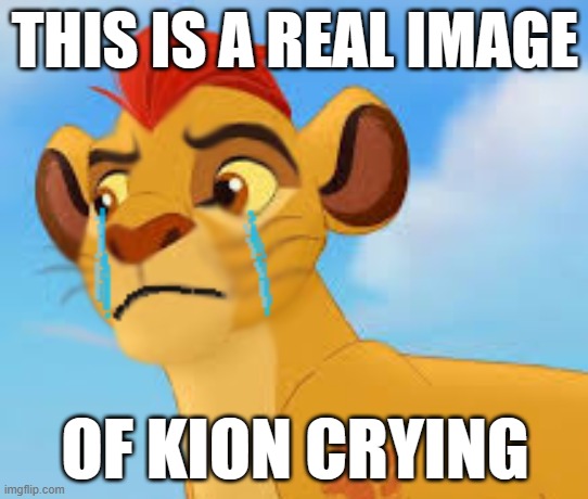 I swear to God it's not edited | THIS IS A REAL IMAGE; OF KION CRYING | image tagged in crying kion crybaby | made w/ Imgflip meme maker