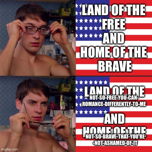 Spidey Glassed (fixed) | LAND OF THE 
FREE 
AND 
HOME OF THE 
BRAVE LAND OF THE 
  
AND 
HOME OF THE NOT-SO-FREE-YOU-CAN-
ROMANCE-DIFFERENTLY-TO-ME NOT-SO-BRAVE-THAT | image tagged in spidey glassed fixed | made w/ Imgflip meme maker