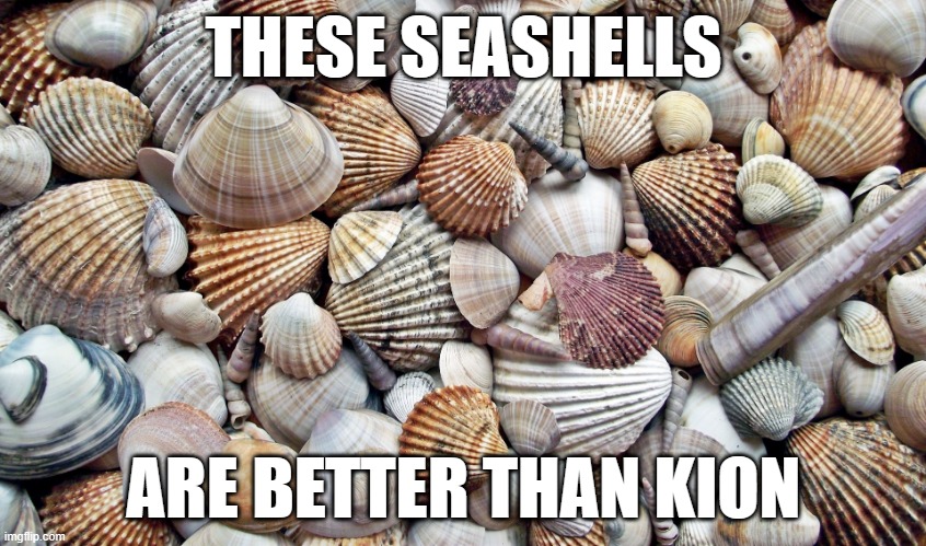 Seashells | THESE SEASHELLS; ARE BETTER THAN KION | image tagged in seashells | made w/ Imgflip meme maker