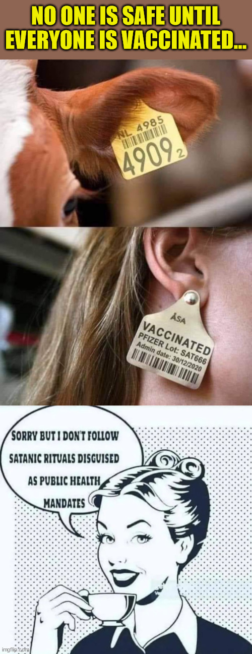 You cannot do your own research... they have to do that for everyone... | NO ONE IS SAFE UNTIL EVERYONE IS VACCINATED... | image tagged in covid vaccine,truth | made w/ Imgflip meme maker