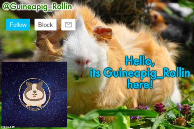 HI PEOPLES | Hello, its Guineapig_Rollin here! | image tagged in guineapig_rollin announcement template | made w/ Imgflip meme maker