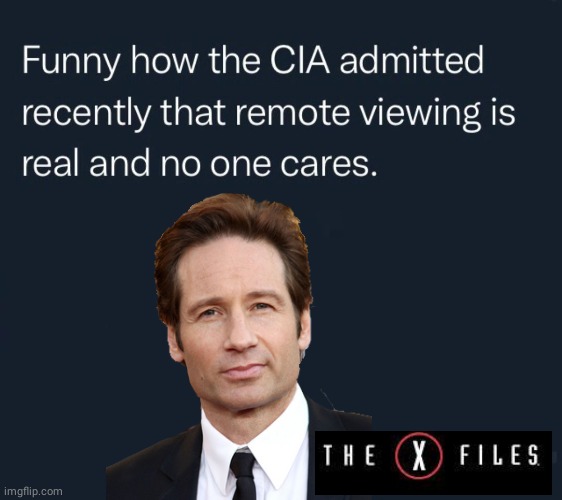 CIA remote viewing is true | image tagged in cia,fox mulder the x files | made w/ Imgflip meme maker