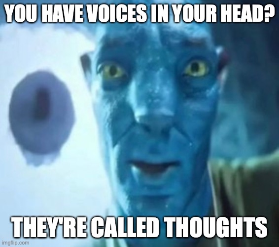 Avatar guy | YOU HAVE VOICES IN YOUR HEAD? THEY'RE CALLED THOUGHTS | image tagged in avatar guy | made w/ Imgflip meme maker