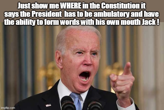 He's probably right, I guess | Just show me WHERE in the Constitution it says the President  has to be ambulatory and have the ability to form words with his own mouth Jack ! | image tagged in world class stooge on the world stage | made w/ Imgflip meme maker