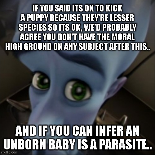Megamind peeking | IF YOU SAID ITS OK TO KICK A PUPPY BECAUSE THEY'RE LESSER SPECIES SO ITS OK, WE'D PROBABLY AGREE YOU DON'T HAVE THE MORAL HIGH GROUND ON ANY SUBJECT AFTER THIS.. AND IF YOU CAN INFER AN UNBORN BABY IS A PARASITE.. | image tagged in megamind peeking | made w/ Imgflip meme maker