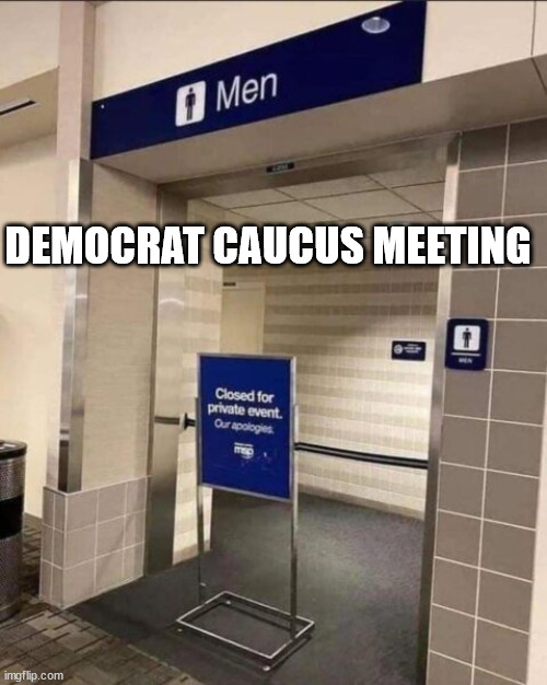 democrats election stategizing meeting... | DEMOCRAT CAUCUS MEETING | image tagged in democrats,planning | made w/ Imgflip meme maker