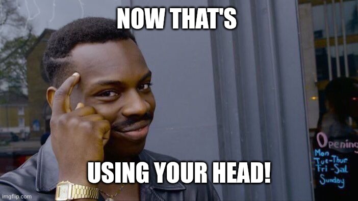 Roll Safe Think About It Meme | NOW THAT'S USING YOUR HEAD! | image tagged in memes,roll safe think about it | made w/ Imgflip meme maker