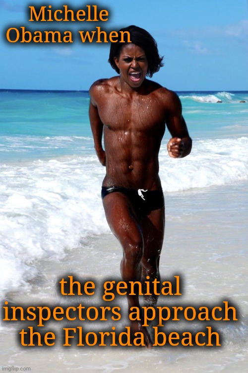 Run, Mike, run! | Michelle Obama when; the genital inspectors approach the Florida beach | image tagged in michelle obama,democrat scumbags,ogre,run from your troubles,michael | made w/ Imgflip meme maker