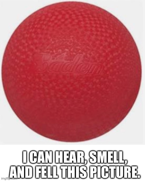 so relatable ahh | I CAN HEAR, SMELL, AND FELL THIS PICTURE. | image tagged in red dodgeball thing,meme,unfunny,iceu is a robot,your mom,is imgflip a backflip or a frontflip | made w/ Imgflip meme maker