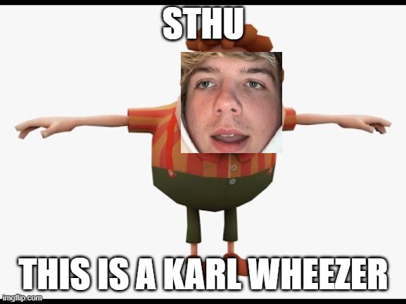 Get ratioed by Karl Wheezer | STHU; THIS IS A KARL WHEEZER | image tagged in stupid | made w/ Imgflip meme maker