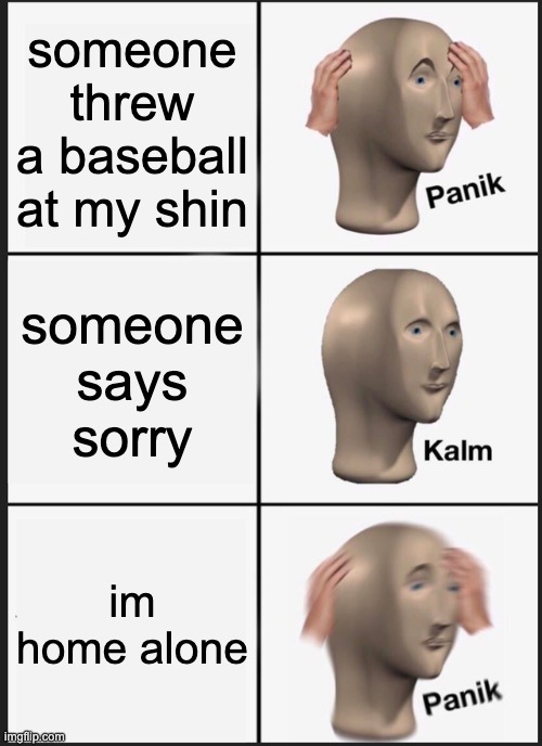 AHHH SHH- | someone threw a baseball at my shin; someone says sorry; im home alone | image tagged in memes,panik kalm panik,bruh moment,relatable,funny,funny memes | made w/ Imgflip meme maker