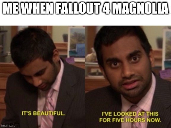 I've looked at this for 5 hours now | ME WHEN FALLOUT 4 MAGNOLIA | image tagged in i've looked at this for 5 hours now | made w/ Imgflip meme maker