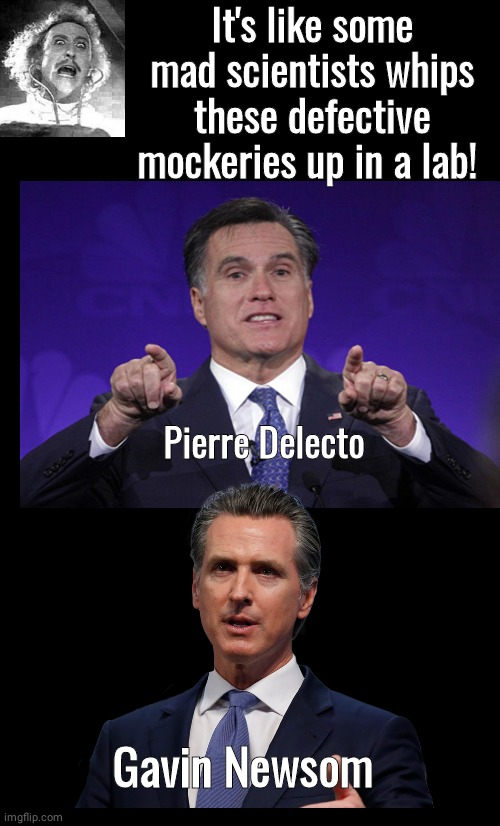 Establishment Political Clones | It's like some mad scientists whips these defective mockeries up in a lab! Pierre Delecto; Gavin Newsom | image tagged in black box,mitt romney | made w/ Imgflip meme maker