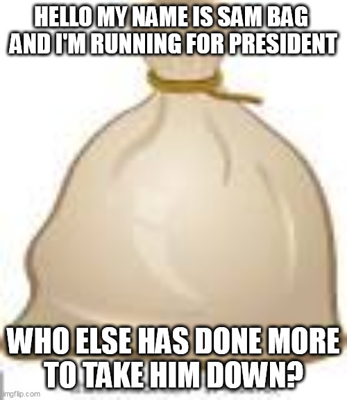YOUR NITTY GRITTY VOTE MATTERS | HELLO MY NAME IS SAM BAG 
AND I'M RUNNING FOR PRESIDENT; WHO ELSE HAS DONE MORE
 TO TAKE HIM DOWN? | image tagged in sand,biden,vote | made w/ Imgflip meme maker