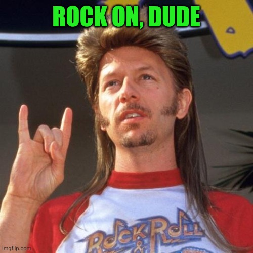 I'm a Rocker | ROCK ON, DUDE | image tagged in i'm a rocker | made w/ Imgflip meme maker