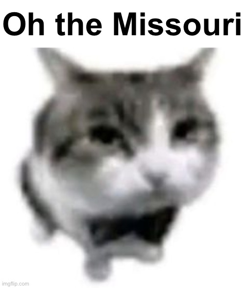 dripped out cat | Oh the Missouri | image tagged in dripped out cat | made w/ Imgflip meme maker