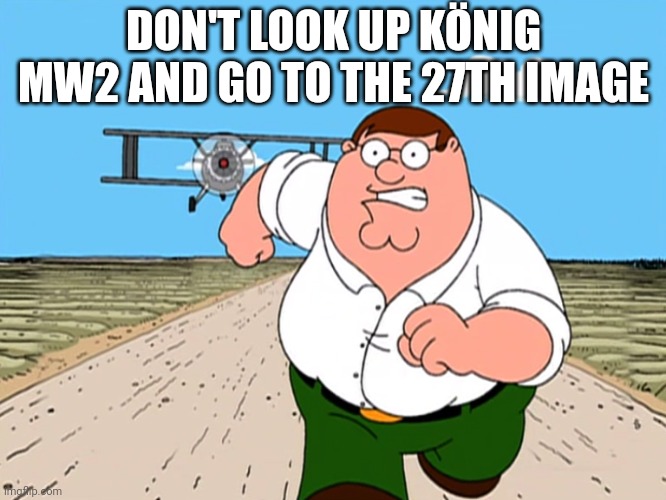 may only work on bing idk | DON'T LOOK UP KÖNIG MW2 AND GO TO THE 27TH IMAGE | image tagged in peter griffin running away,konig,modern warfare,mw2 | made w/ Imgflip meme maker