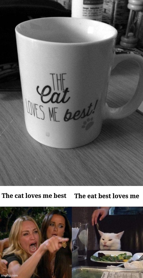 "The eat best loves me" | The cat loves me best; The eat best loves me | image tagged in memes,woman yelling at cat,mug,crappy design,you had one job,cat | made w/ Imgflip meme maker