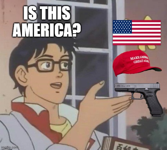 Sums it up. | IS THIS AMERICA? | image tagged in memes,is this a pigeon,united states,guns,maga,makes sense | made w/ Imgflip meme maker
