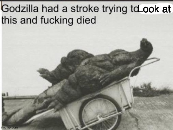 Godzilla | Look at | image tagged in godzilla | made w/ Imgflip meme maker