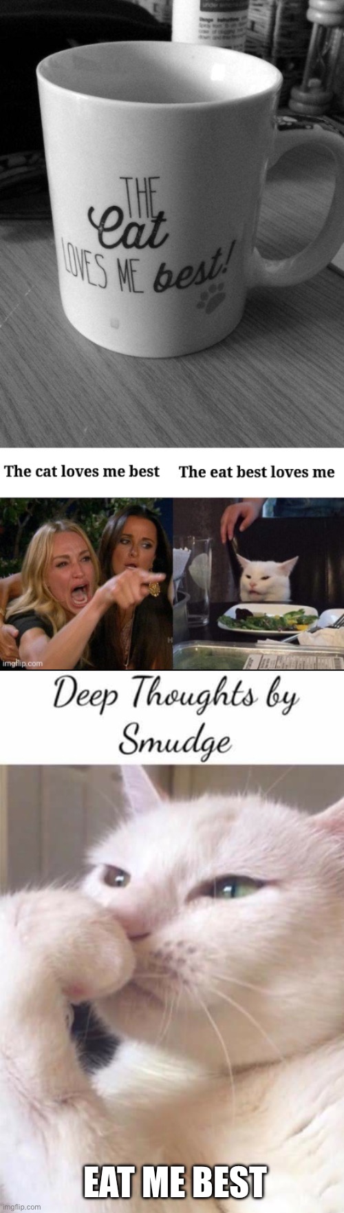 Cat eats | EAT ME BEST | image tagged in smudge,cat,eat,best | made w/ Imgflip meme maker