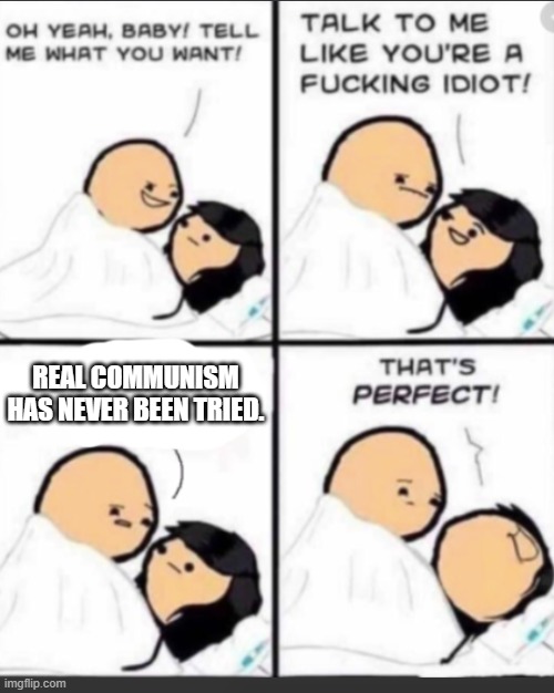 Commies. | REAL COMMUNISM HAS NEVER BEEN TRIED. | image tagged in talk to me like a idiot | made w/ Imgflip meme maker