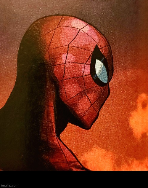 A cool photo of Spiderman! Screenshot if you want! Bottom bar is so there is no imgflip watermark, and a warm tint to it for bet | image tagged in spiderman,cool,photo | made w/ Imgflip meme maker