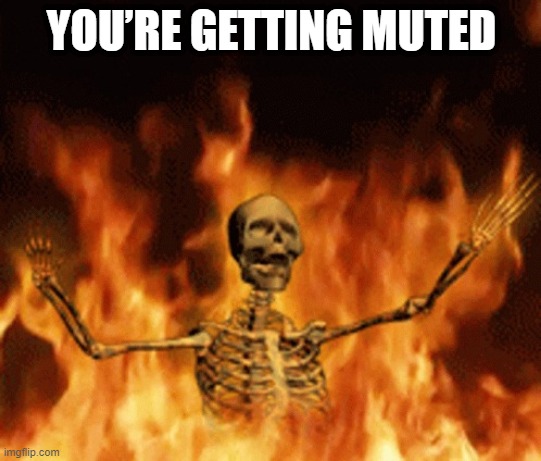 Skeleton Burning In Hell | YOU’RE GETTING MUTED | image tagged in skeleton burning in hell | made w/ Imgflip meme maker