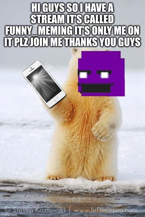 Looking for people to join | HI GUYS SO I HAVE A STREAM IT’S CALLED FUNNY_MEMING IT’S ONLY ME ON IT PLZ JOIN ME THANKS YOU GUYS | image tagged in hello polar bear | made w/ Imgflip meme maker