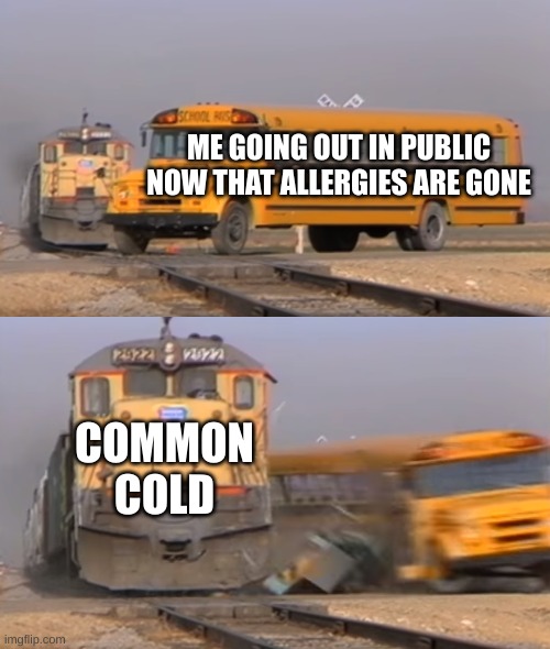 A train hitting a school bus | ME GOING OUT IN PUBLIC NOW THAT ALLERGIES ARE GONE; COMMON COLD | image tagged in a train hitting a school bus | made w/ Imgflip meme maker