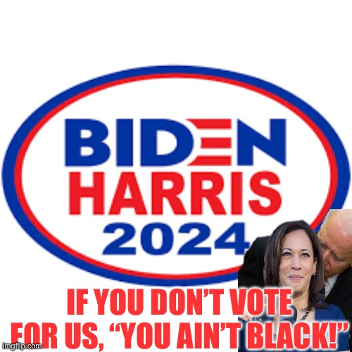 IF YOU DON’T VOTE FOR US, “YOU AIN’T BLACK!” | image tagged in joe biden,racist,republicans,donald trump,kamala harris | made w/ Imgflip meme maker