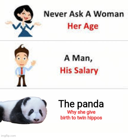 Never ask a woman her age | The panda Why she give birth to twin hippos | image tagged in never ask a woman her age | made w/ Imgflip meme maker