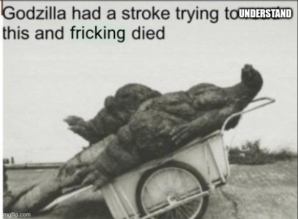 Godzilla had a stroke trying to read this and fricking died | UNDERSTAND | image tagged in godzilla had a stroke trying to read this and fricking died | made w/ Imgflip meme maker