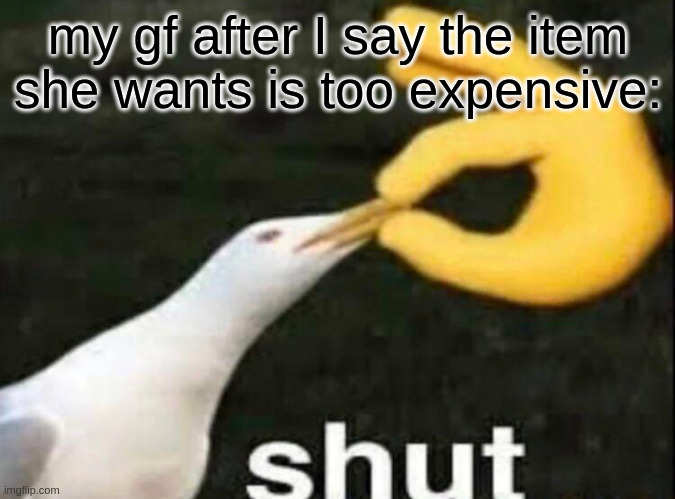 gf meme | my gf after I say the item she wants is too expensive: | image tagged in shut | made w/ Imgflip meme maker