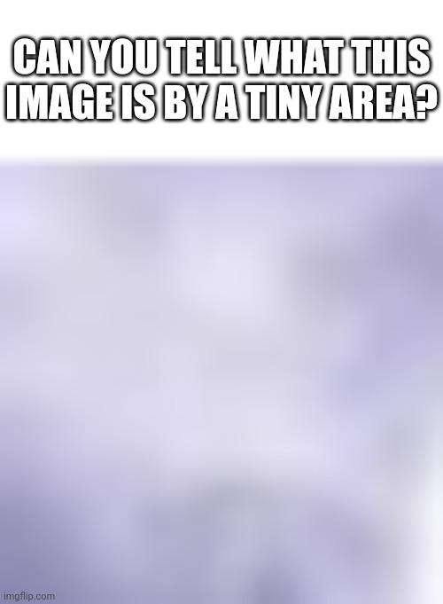 CAN YOU TELL WHAT THIS IMAGE IS BY A TINY AREA? | made w/ Imgflip meme maker